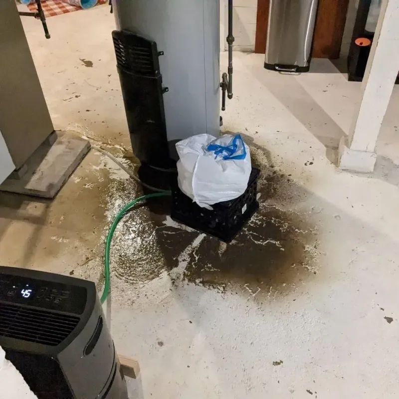 Sewage Backup Cleanup Service in Gurdon, AR